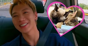WayV Ten's Cats Have Completely Taken Over His Room And His Wallet, But He's Perfectly Happy
