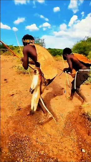 Extreme African Wildlife Hunt Moments You Can’t Miss #AfricanWildlife #WildHunt #AnimalLife