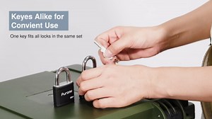 Puroma 2 Pack Keyed Padlock with 3 Keys Alike, 1.1 Inch Locker Lock 40mm Heavy-Duty Locks for Gate Fence Hasp Cabinet Toolbox School Gym Locker (Blue)