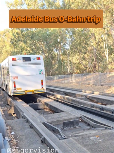 Exploring Buses in Australia: Adelaide O-Bahn Journey