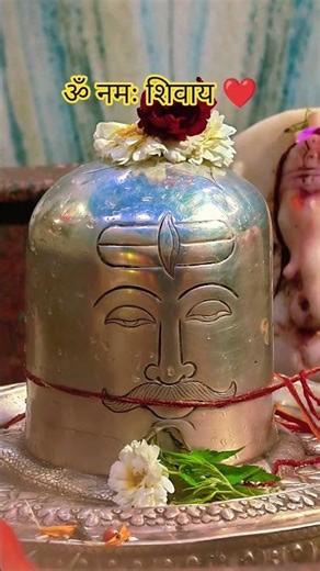 #youtubeshorts #omnamahshivaya #jaybholenaath