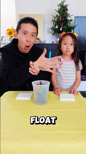 Aphmau MeeMeows Doodle Art Challenge! Who Will Win? #shorts #artchallenges