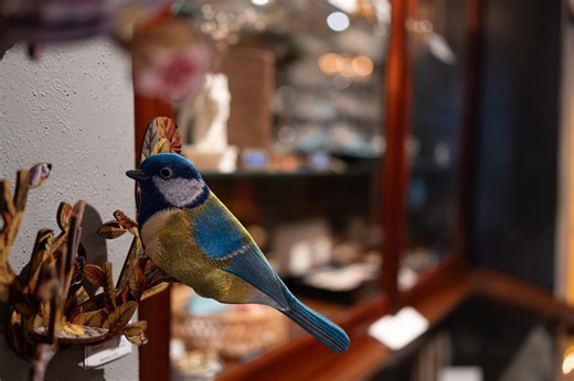 880: F1.4の明るさとコンパクトネス『SIGMA Contemporary 23mm F1.4 DC DN X-Mount』 | KASYAPA