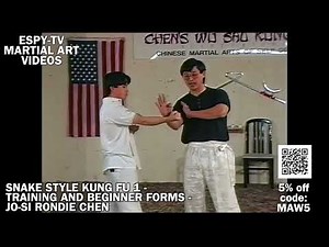 SNAKE STYLE KUNG FU 1 - TRAINING AND BEGINNER FORMS - JO-SI RONDIE CHEN