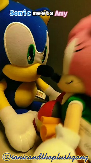 Sonic meets Amy #sonicandtheplushgang #sonicthehedgehog #amyrose #sonicplush #classicamyplush #amyplush #sonicmeetsamy #fypage
