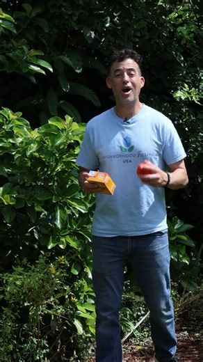 Want sweeter tomatoes? Try this gardening trick! #NeighborhoodFarmsUSA #GardeningHacks #GardeningTips #GardenersWorld #Gardening | Neighborhood Farms USA