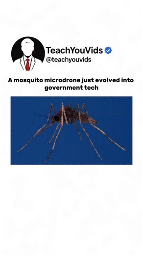 Teach You Vids on Instagram: "A mosquito microdrone just evolved into government tech. 🛰️🦟 What once looked like science fiction is now real innovation — microdrones so small they mimic insects, designed for surveillance and data collection. Proof that the line between nature and technology is getting thinner every year. 🤖⚙️ This video is for educational purposes only. 📩 DM for credit or removal. #FutureTech #MicroDrone #SurveillanceTechnology #Innovation #ScienceAndTechnology #LearnSomethin