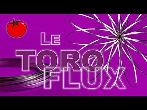 The incredible Toroflux!