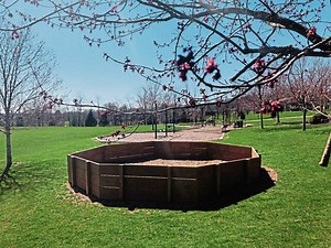 Murrysville continues park updates; gaga ball pit planned at Kovalczik Park