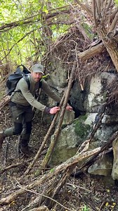 24K views · 36K reactions | Incredibly good camouflage for a WWII bunker!  #history #ww2 #military #bunker #lost | Christian Böhm | Facebook