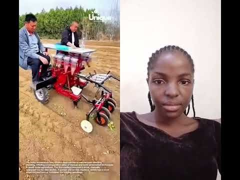 Automated seedling planter