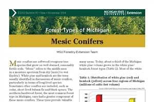 Forest Types of Michigan: Mesic Conifers