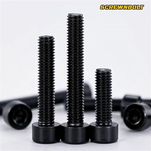 น็อต สกรู หัวจมกระบอก หกเหลี่ยมภายใน สแตนเลส 304 ชุบดำ เกลียวมิล หยาบ M6 M8 / Socket Head Cap Screw SUS304 Black | Lazada.co.th