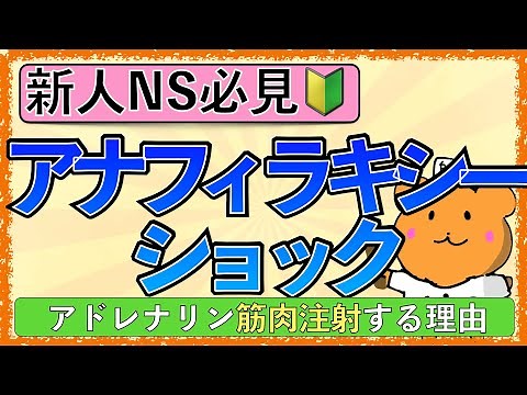イラストで学ぶ医学！「アナフィラキシーショックでアドレナリンを使う理由と筋肉注射の理由とは？」