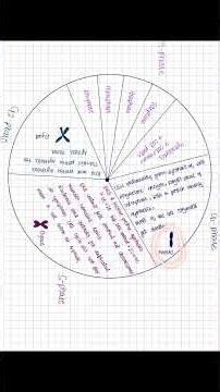Interphase Explained In 100 Seconds | Quick Revision With Diagram | NEET 2026 Exam Preparation