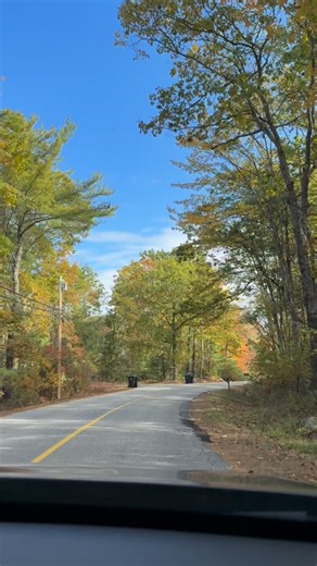 2.5K views · 49 reactions | Spooky season has arrived 李 Nothing says autumn at UNE like a roommate road trip to #Kennebunk to find the perfect pumpkins  | University of New England | Facebook