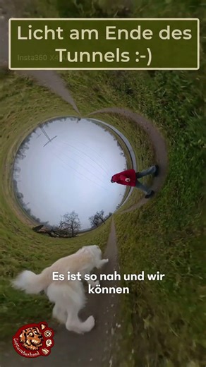 The light at the end of the tunnel 👍