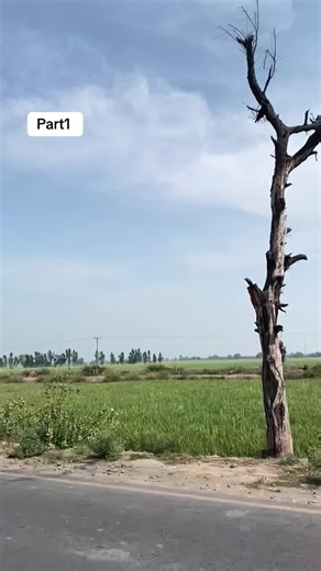 Unlocking Insights: Tarot Reading for You