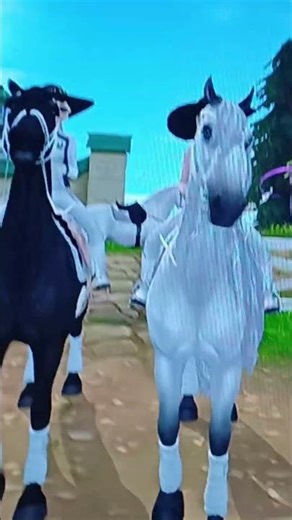 gutes Intro fùr lange Videos ? #sso #edit #darkghostslegacysso