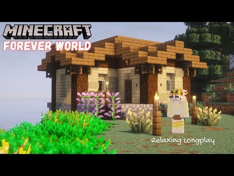 Minecraft Longplay [No Commentary] - Couples Forever World