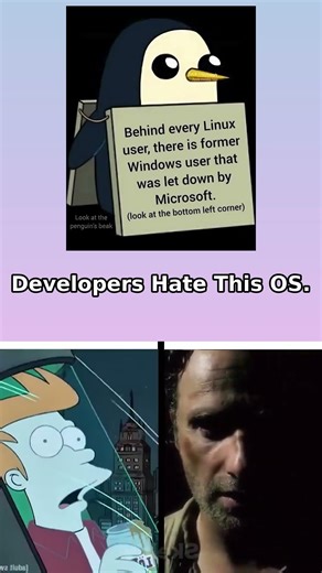 Developers Hate This OS.