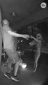 Ring offered $1 million for video evidence of aliens, and the footage is comedy gold.