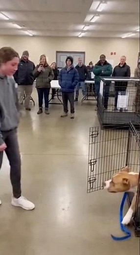 “Adoption Day”“The Moment They Met”“First Hug”“Coming Home”“This Is My Human