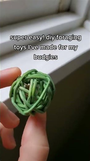 EASY DIY BUDGIE FORAGING TOY! - Keep your budgies busy with these!