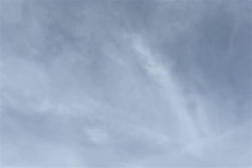 Tanner Beard on Reels