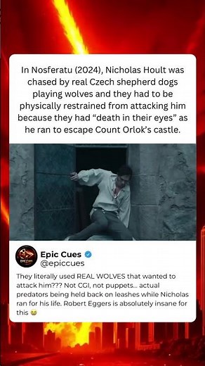 In Nosferatu (2024), Nicholas Hoult Was Chased By Real Wolves That Wanted To Attack Him