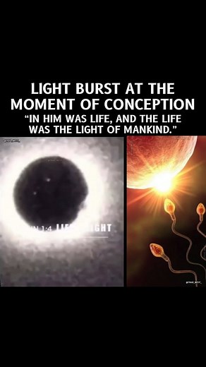 Trad West on Instagram: "A phenomenon often described as a "flash of light" at the moment of conception has been observed in certain studies, specifically during fertilization, using fluorescence microscopy. This "light" is actually a release of zinc ions, which triggers a small burst of fluorescence when the sperm fertilizes the egg. How It Happens: Zinc Sparks: During fertilization, the egg releases a large quantity of zinc ions in a process called "zinc sparks." These zinc ions play a role in