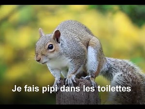 Je fais pipi dans les toilettes (comptine éducative propreté)