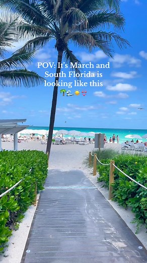 Discover the Best Beaches in Sunny Isles, Florida