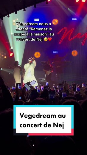 Vegedream au concert de Nej: Ramenez la coupe à la maison
