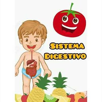 Sistema digestivo para niños