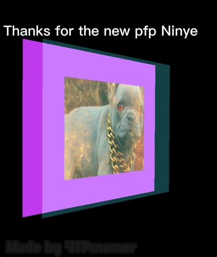 Dog pfp