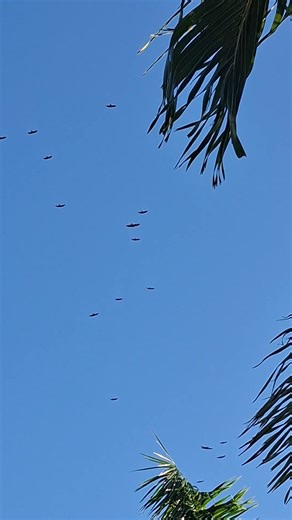 1.1K views · 70 reactions | G'morning..... So it's about 9:00 a.m....