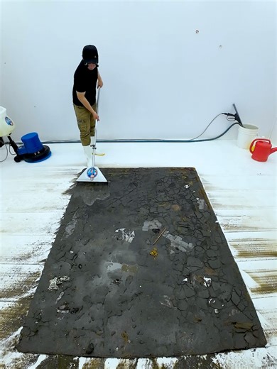 Incredible Carpet Transformation: Before and After