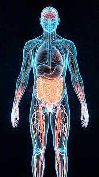 Inside Your Body When Pain Hits-3D Visualization