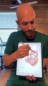 Why You Have Room Spinning Sensation #vertigo #dizziness #physicaltherapy