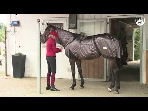 Loesdau Lessons: Bodenarbeit mit Sabine Ellinger Teil 13: Ekzemerdecke richtig anziehen