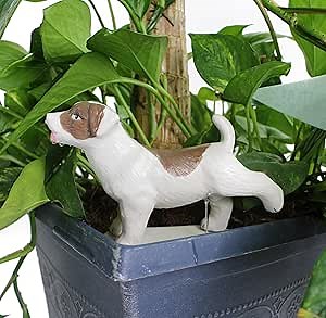 NPW Pee My Plants Dog Watering Spike – Ceramic Self-Watering Plant Spike, Funny Garden & Houseplant Decor