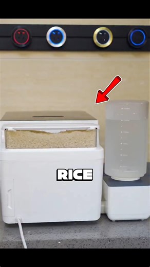 The Laziness Level of This Rice Cooker Is Insane 🤯