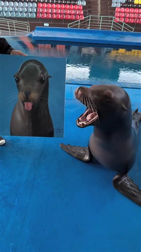 Fun Facts About Sea Lions