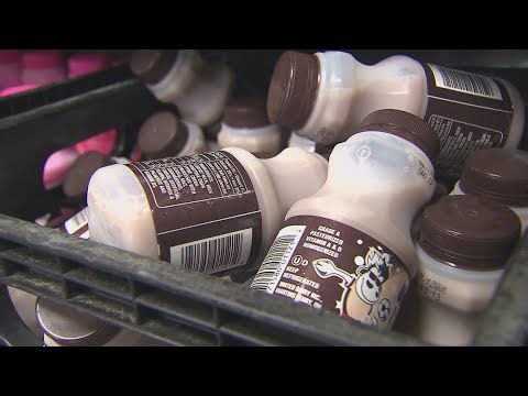 Whole milk returns to schools after Trump signs new legislation