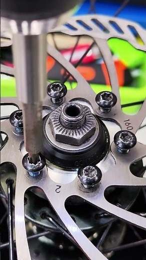 Bicycle brake disc installation on a wheel.