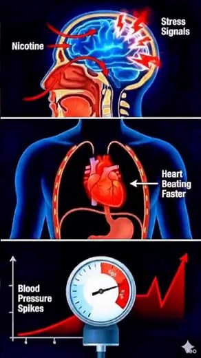What Happens when you Vape| Vaping vs Lungs| Medical Animation 🫁