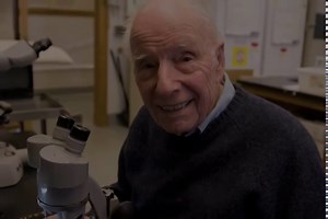 Amoebozoa | Biology for Majors II