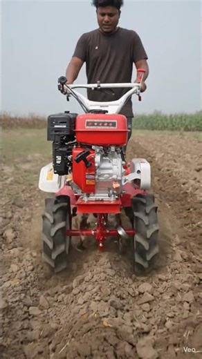 Peaceful Village Moments 📷”#shorrs