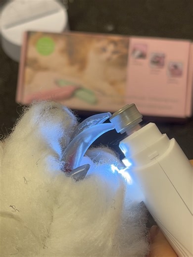 Pet Nail Trimming Techniques with LED Light